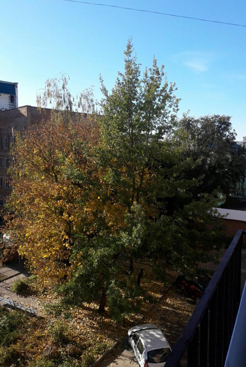 3- Х Комнатная Квартира В Центре Rivne Extérieur photo